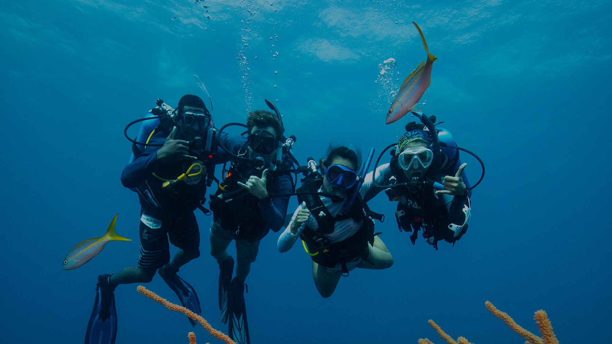 Access Your PADI Club™ Membership Benefits