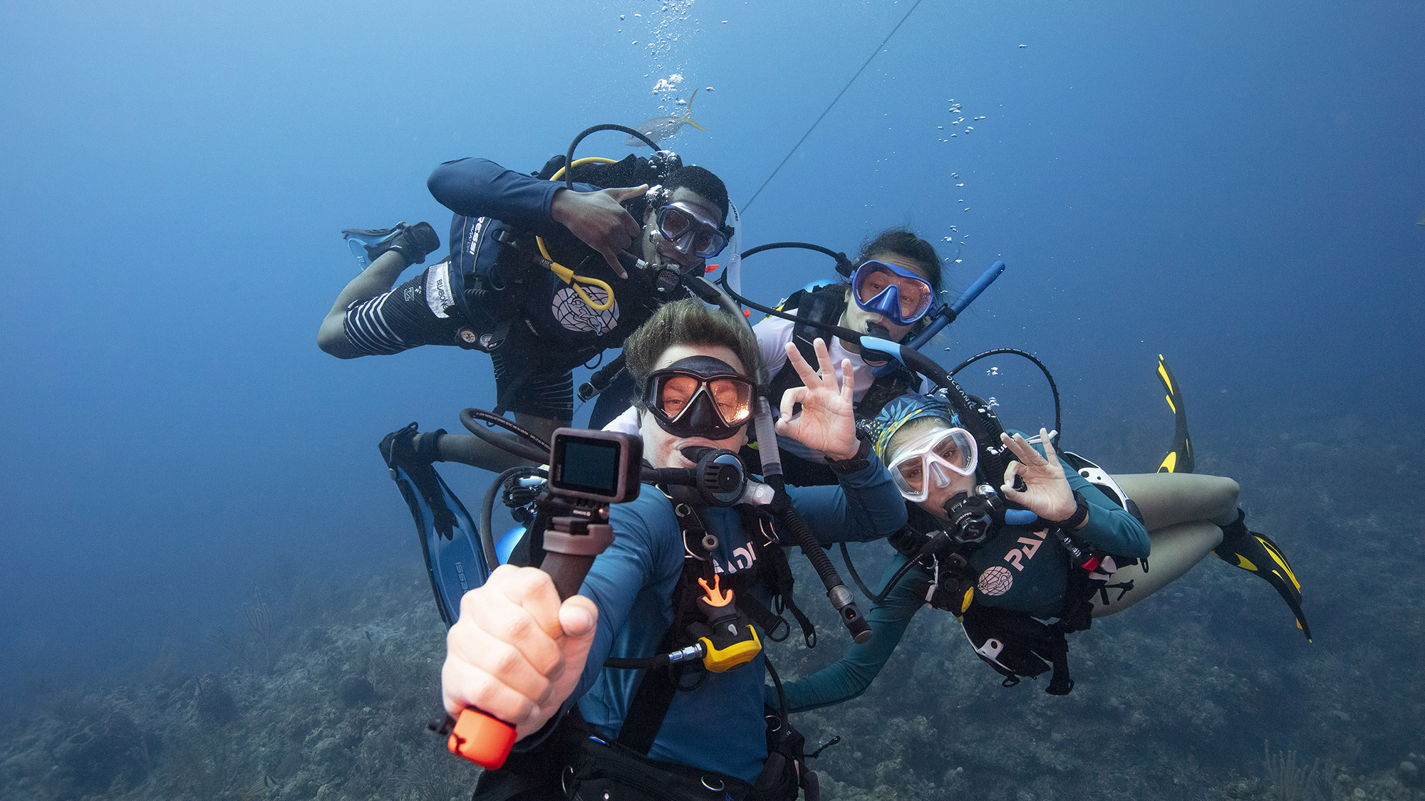 Iscriviti a PADI Club™ e rimani in contatto con il mondo sommerso