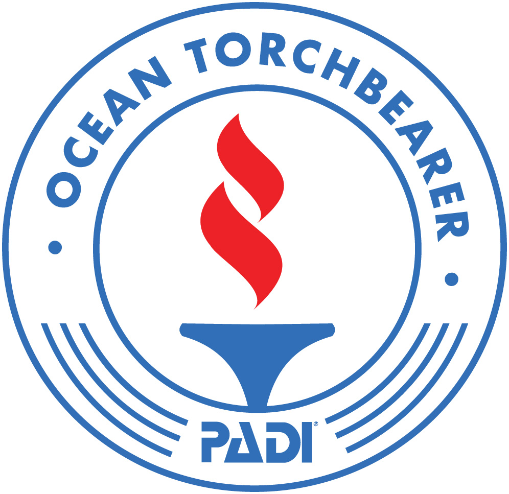 Torchbearer logo