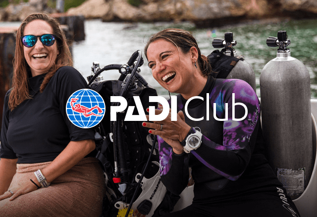 Padi Logo