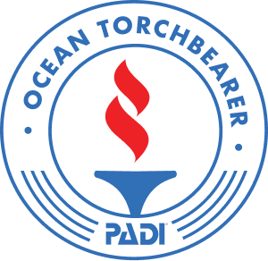 Torchbearer Logo